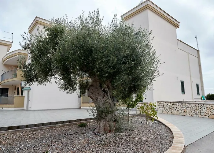 Casa Bellavista