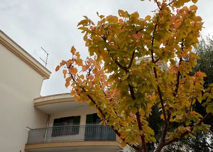 Casa Bellavista