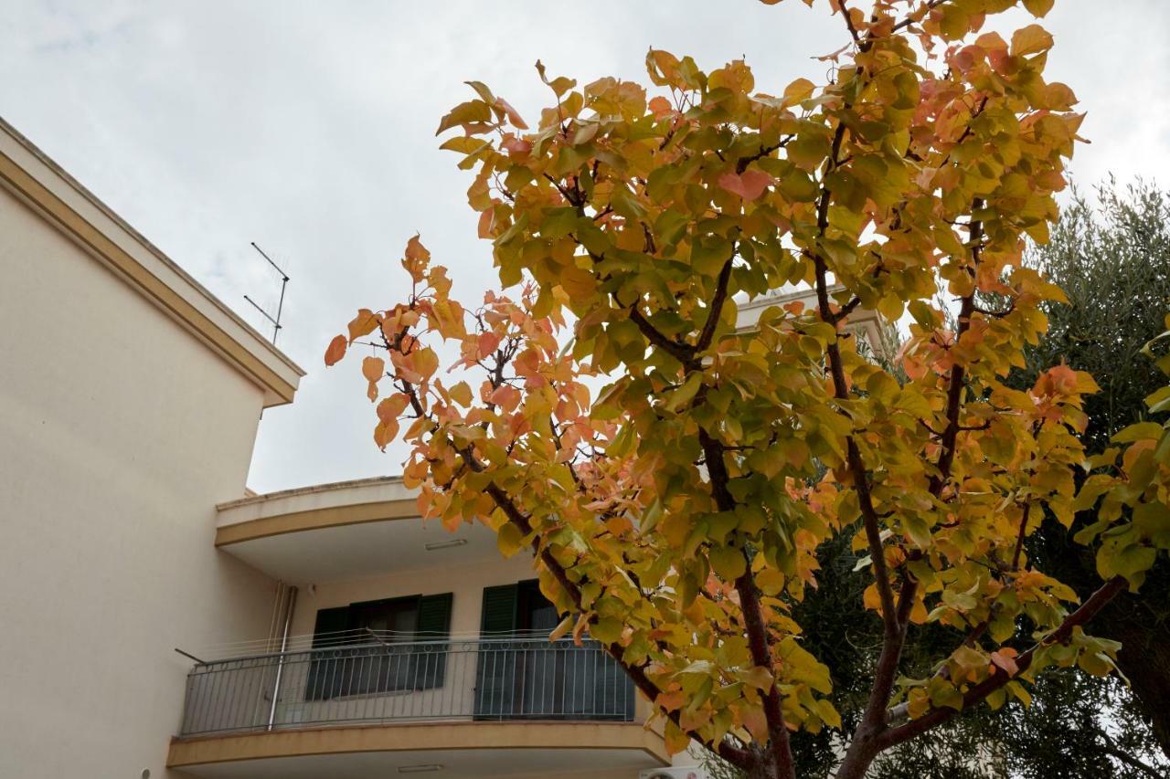 Apartment Casa Bellavista Torre Canne